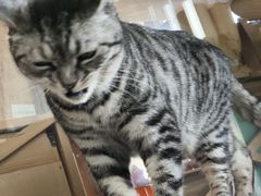 -小时光咖啡馆(开森度假森林店)