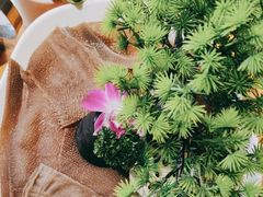 -大龙燚火锅