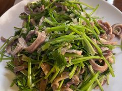 芫爆肚丝-鼎香润(德胜门内店)