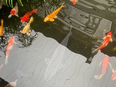 -聚福宝合苑食府(南头镇店)