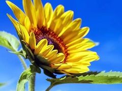 -老娘舅(杭州良渚永旺梦乐城店)