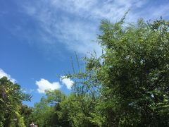 -南丫岛