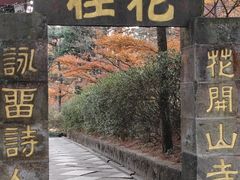 -庐山风景区花径公园