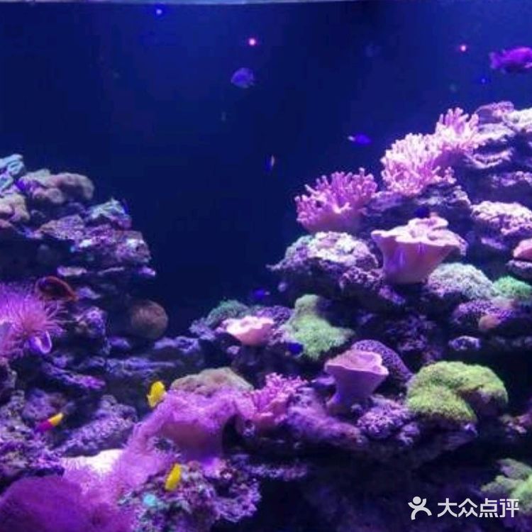 小众运动~体验海底世界💦