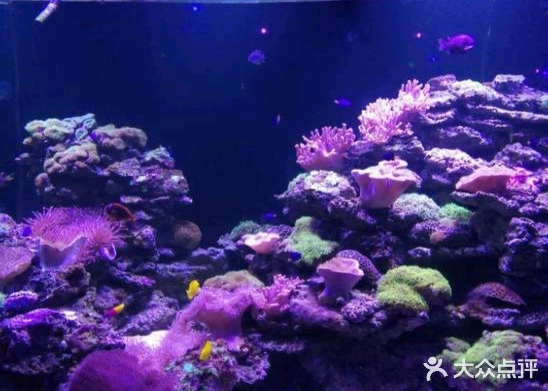 小众运动～体验海底世界💦