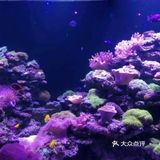 小众运动～体验海底世界💦