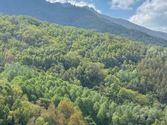 -灵山