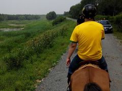 android_upload_pic-沈阳静安马场