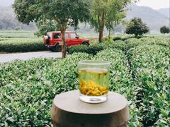 -听风阁农家私房菜茶楼(龙坞店)