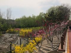 -大兴滨河森林公园