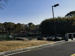 -苏州金鸡湖大酒店