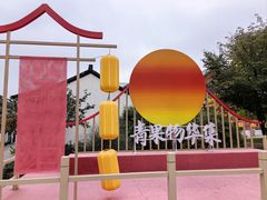 -青果巷历史文化街区