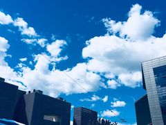 -西树泡芙(蓝色港湾店)