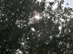 -小荧星艺校(浦东中环分校)