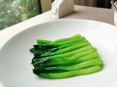 -食神鱼头佛跳墙(百子湾旗舰店)