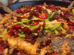 -老板恋上鱼(恒隆广场店)