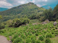 -石台牯牛降景区