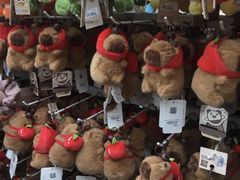 -酷乐潮玩(北京超极合生汇店)