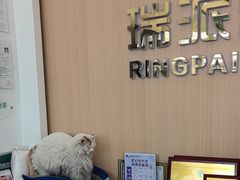 -瑞派雷欧宠物医院·24h夜诊·心脏骨科牙科·全科重症转诊中心(无影山店)