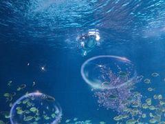 -常州海昌海洋探索馆