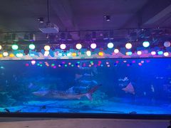 -烟台海昌鲸鲨海洋公园