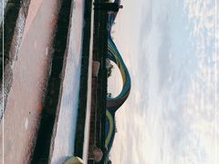 -白鹭湾湿地公园