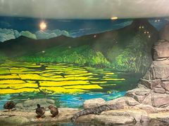 -上海海洋水族馆