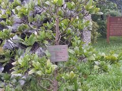 -广州神农草堂中医药博物馆