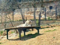 -大连森林动物园