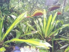 -广州长隆野生动物世界