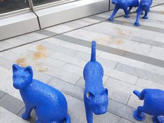 -中海环宇荟