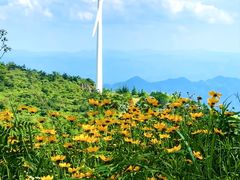 -东白山