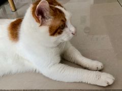 -平行世界·猫咖(首经贸店)