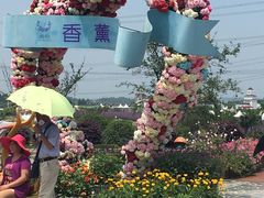 -紫颐香薰山谷景区