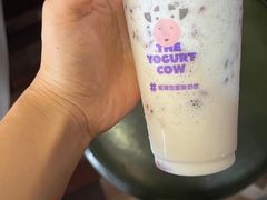 -一只酸奶牛(曲江龙湖星悦荟店)