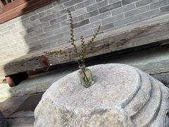 -嵩祝寺及智珠寺