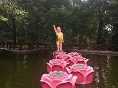 -瑞丽独树成林风景区