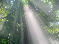 -青青世界