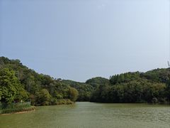 -中山市树木园