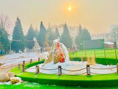 -蒙古大营(朝阳公园店)
