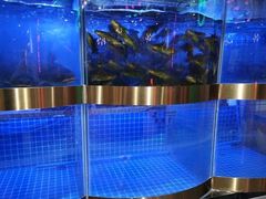 水产区-蛙一刀·麻椒鱼火锅(金仙桥店)