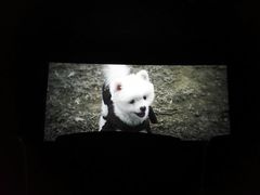 -星美国际影商城(虹口店)