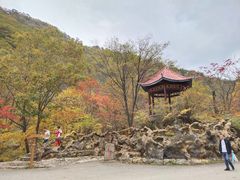 -本溪汤沟绿石谷森林公园