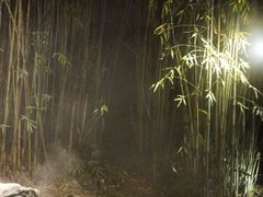 -三江森林温泉度假区