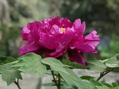-国家植物园