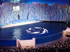 -珠海长隆海洋王国