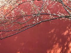 -钱王祠