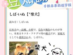 -千秋未来日韩语(天府五街校区)