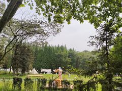 -宜兴龙背山森林公园