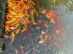 -武汉紫薇都市田园